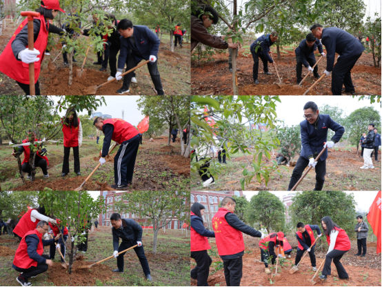 1741855968422787.png image.png